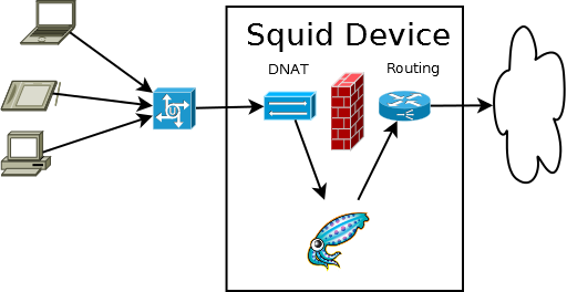 squid-DNAT-device.png