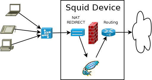 squid-NAT-device-REDIRECT.png